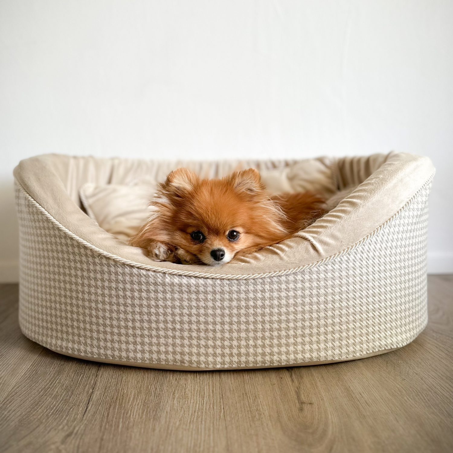 kleiner Hund sitzt in luxus hundebett