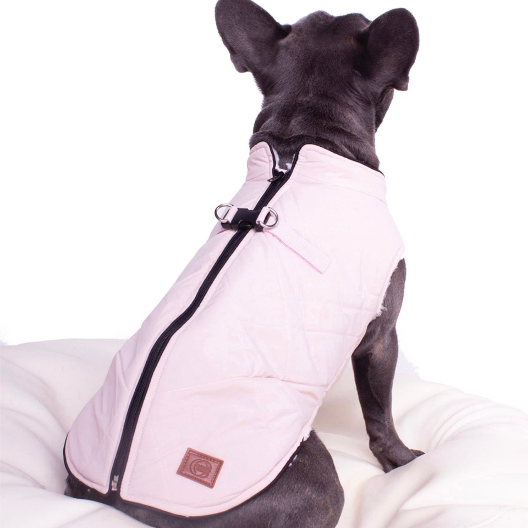 Manitoba Dog Coat