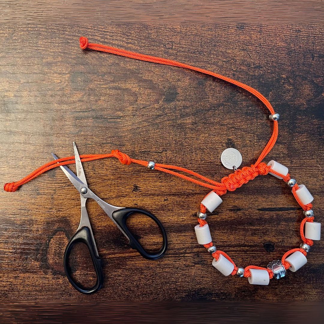 Zeckenhalsband orange mit Schere zum zeigen, wie man die Enden kürzen kann.