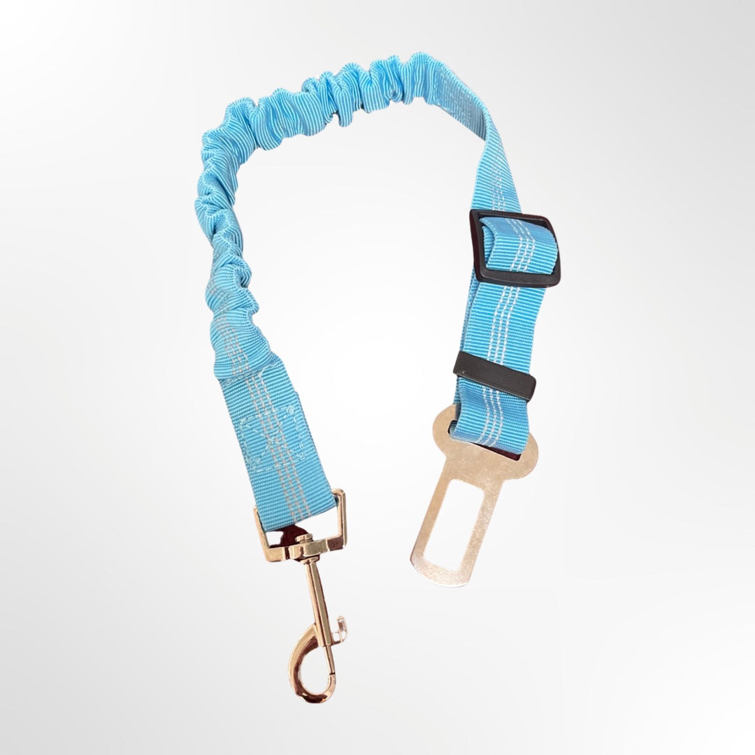 Hundeautogurt-blau