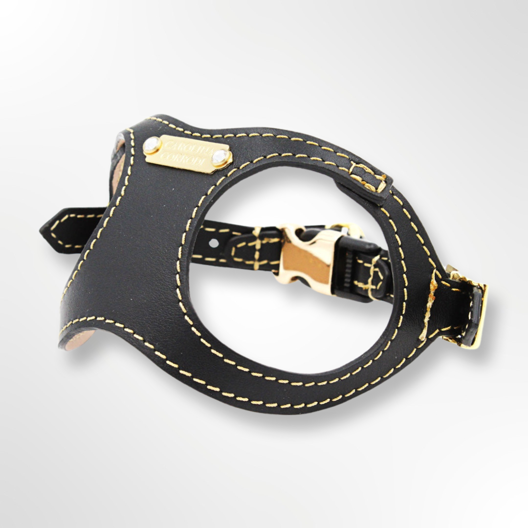 Hundegeschirr Step-In Leder schwarz mit goldenen Accessoires