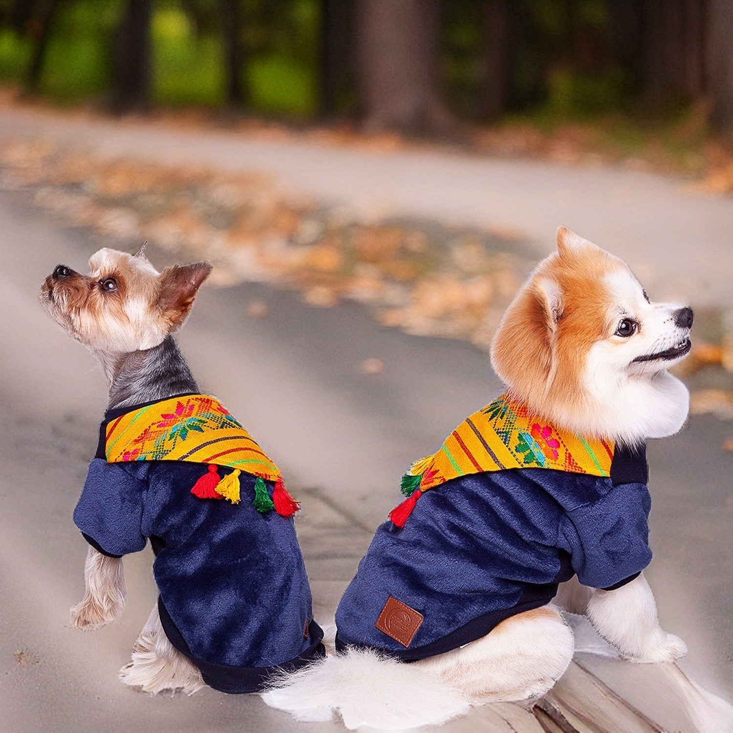 Hundepullover Rio de Janeiro