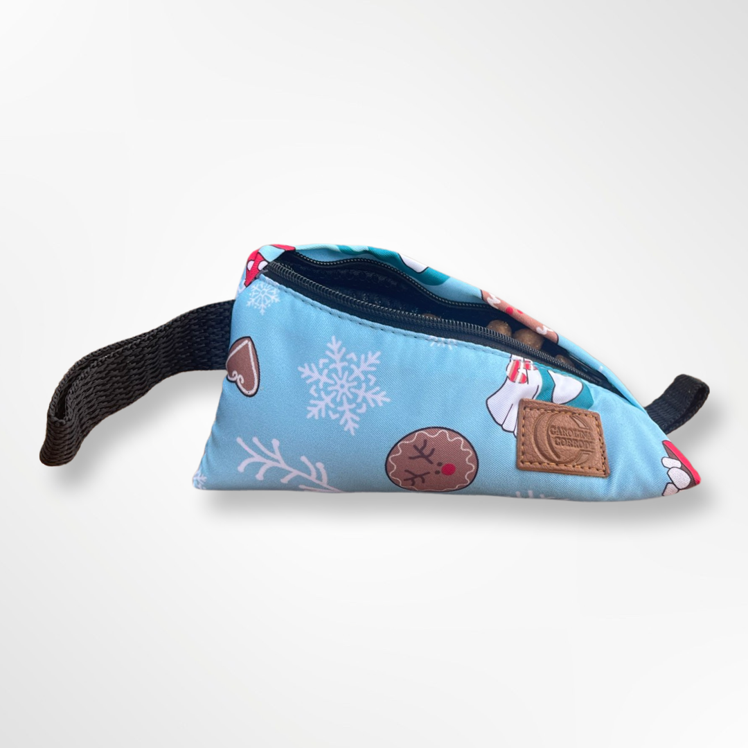 Leckerlibeutel hellblau mit Weihnachtsdesign Carolina Corrodi