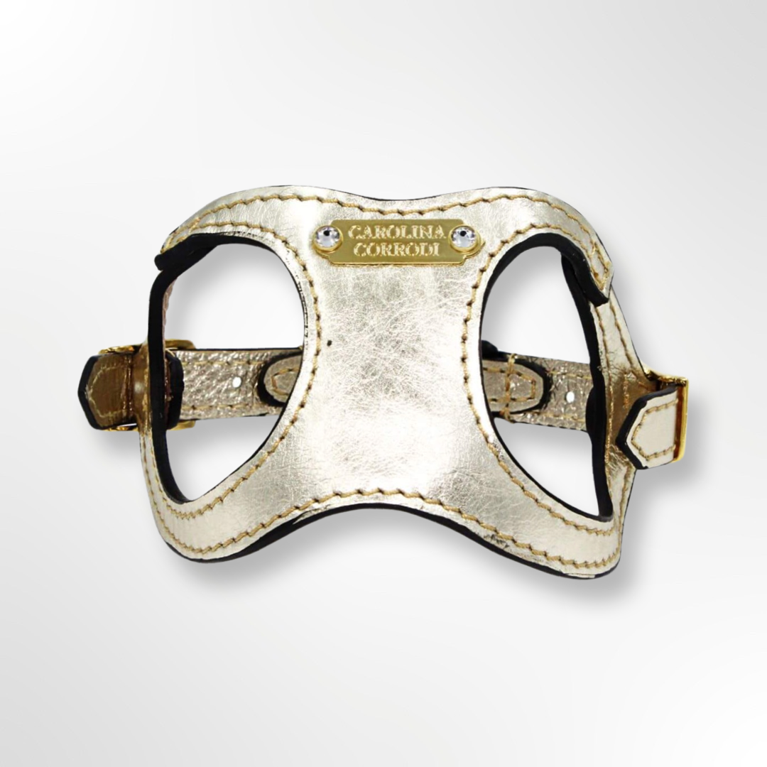 Hundegeschirr Leder gold für kleine Hunde