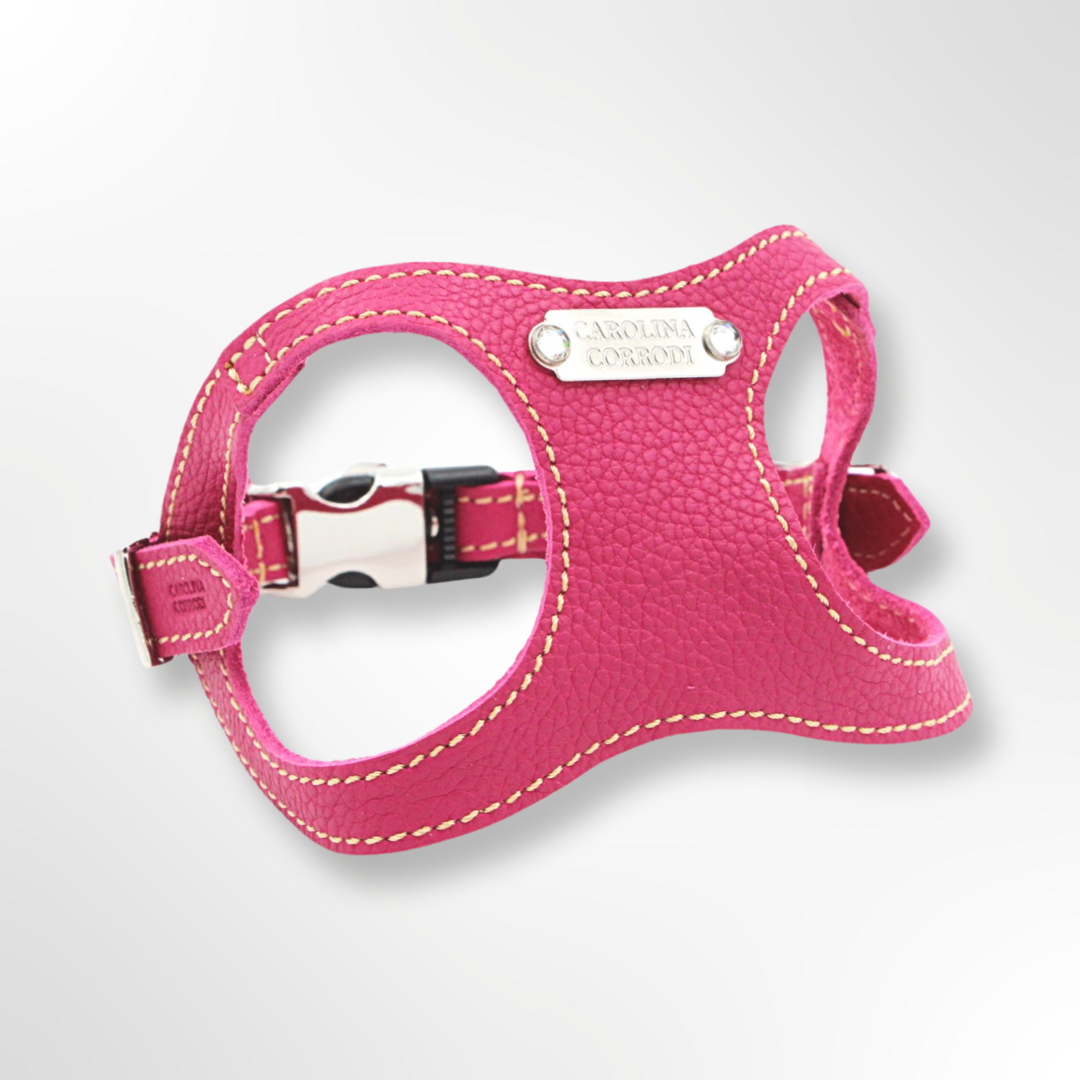 hundegeschirr leder fuer kleine hunde