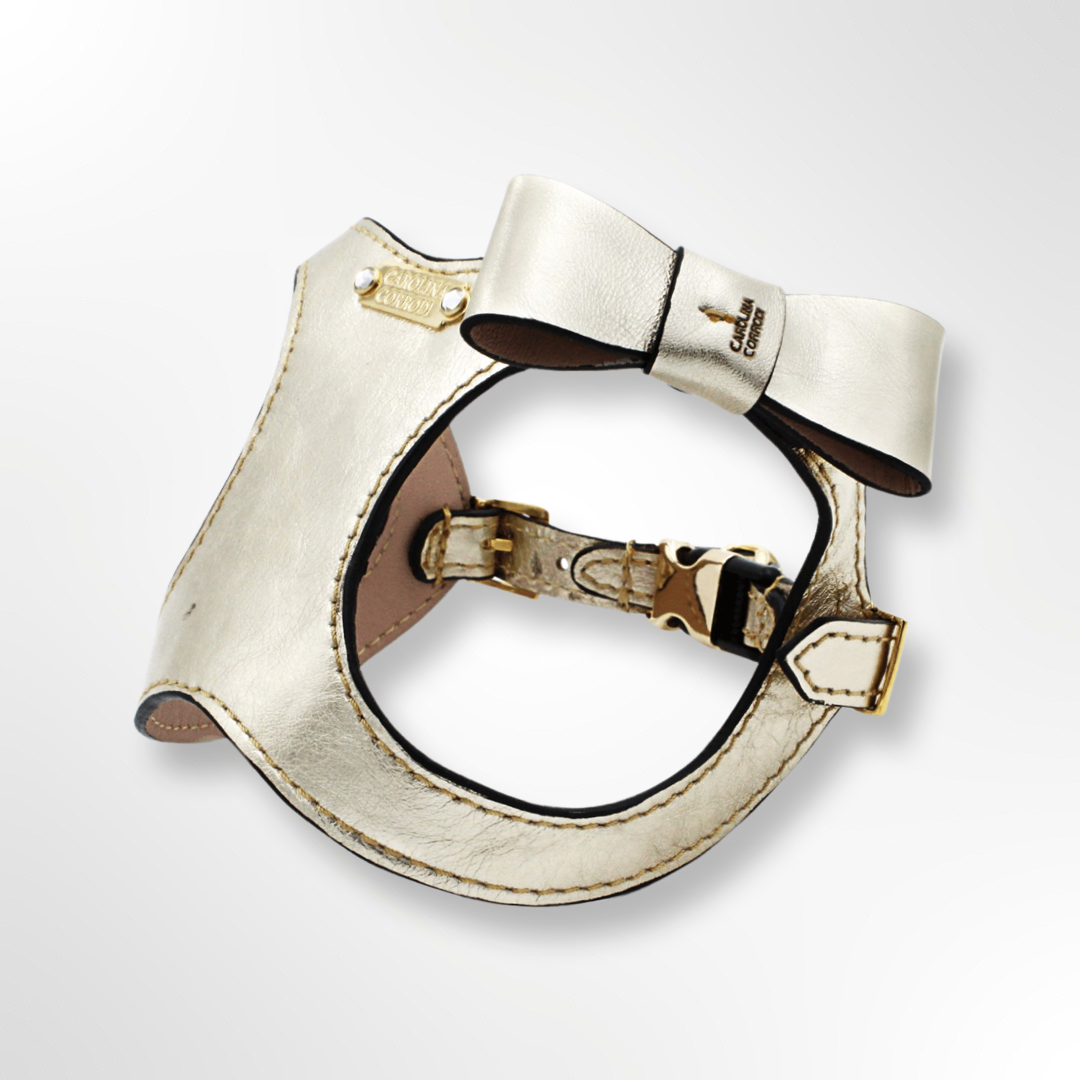 Hundegeschirr Leder mit abnehmbarer Lederschleife