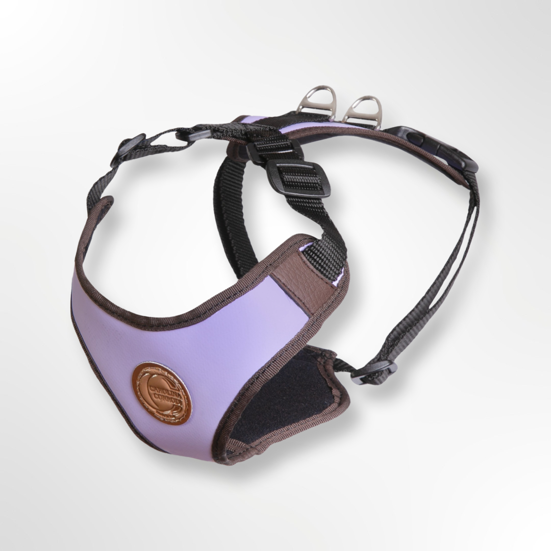 hundegeschirr gepolstert in lila