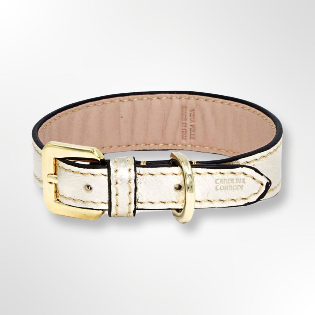 Lederhalsband gold metallic Verschluss