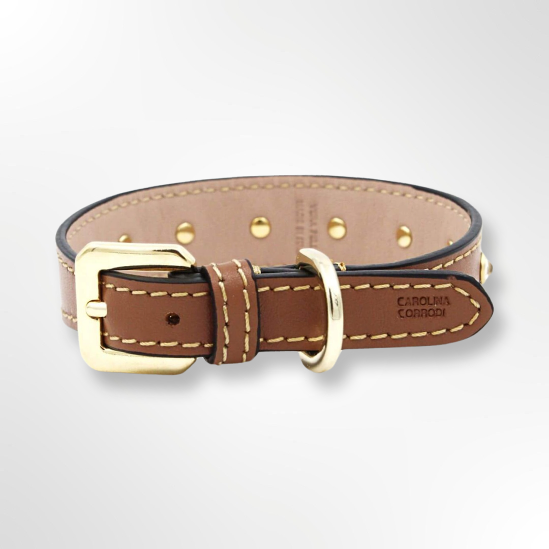 Lederhalsband braun mit Strasssteinen Verschluss gold