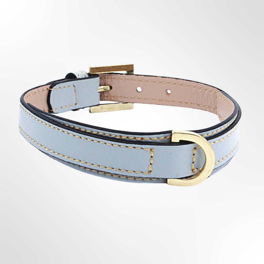 Hundehalsband Hellblau Carolina Corrodi