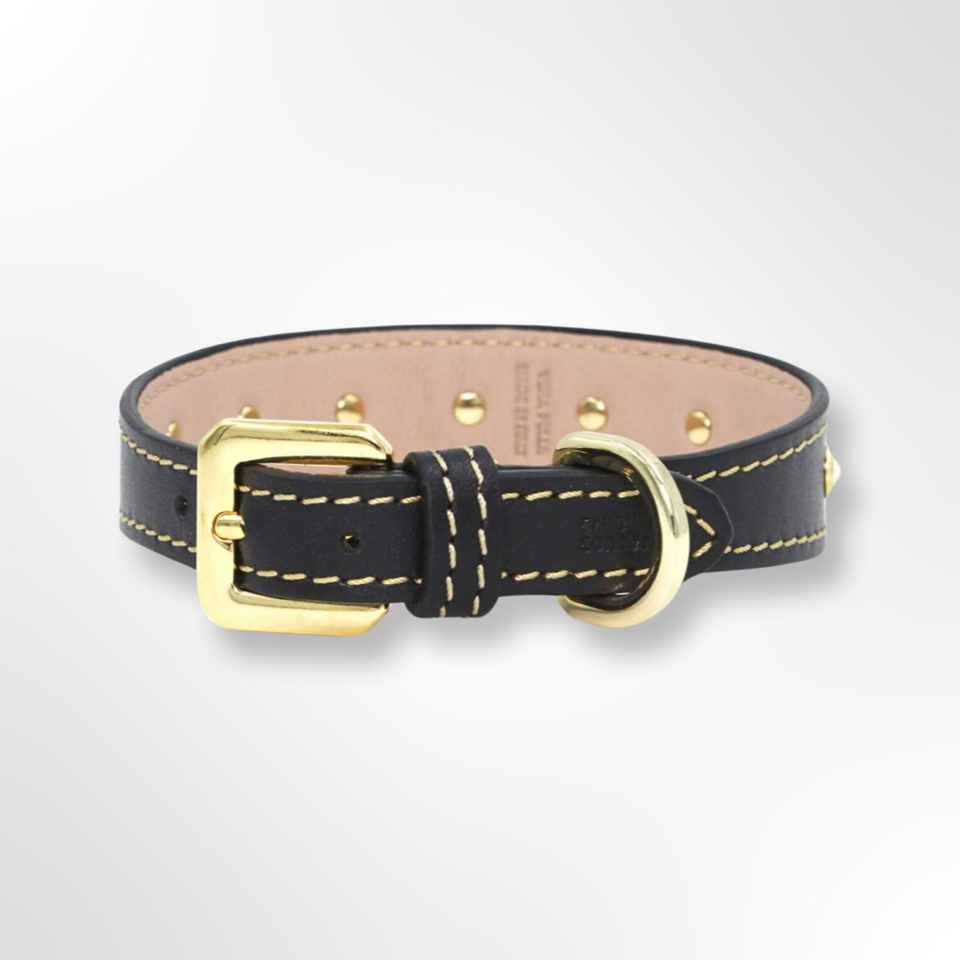 hundehalsband mit schwarz mit strasssteinen