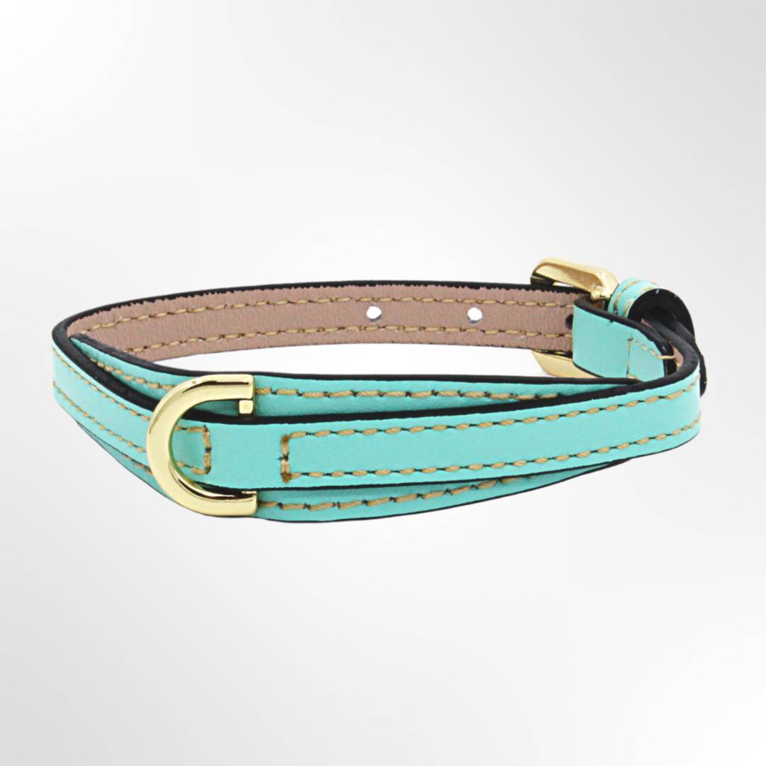 Leder Hundehalsband Türkis
