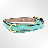 Leder Hundehalsband Türkis