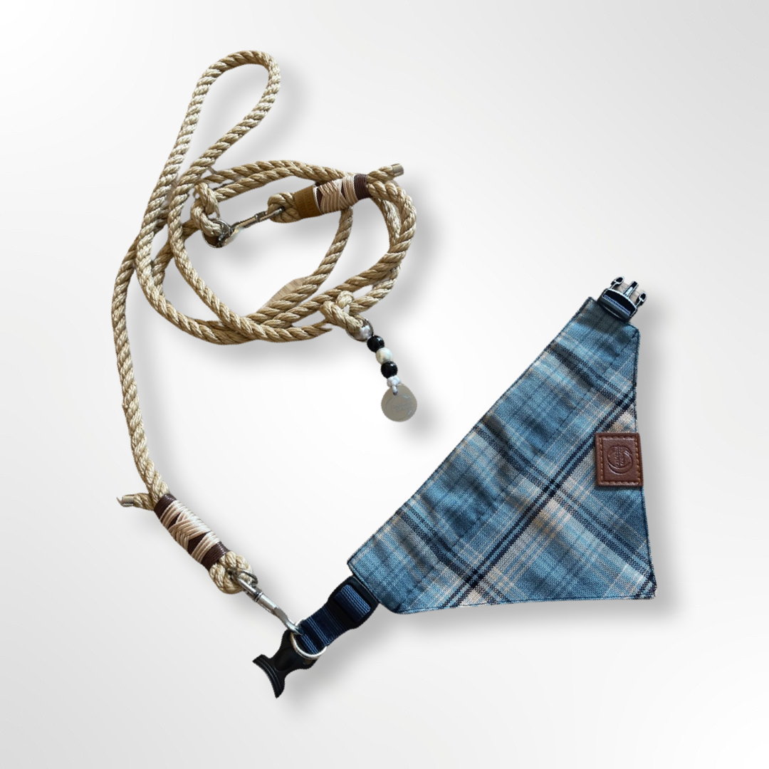 hundehalstuch hellblau Carolina Corrodi