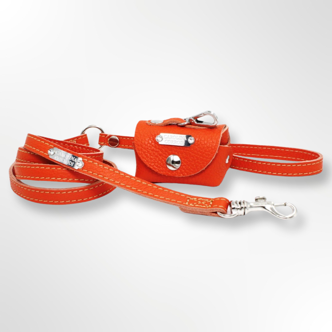 hundeleine mit kotbeutelspender orange