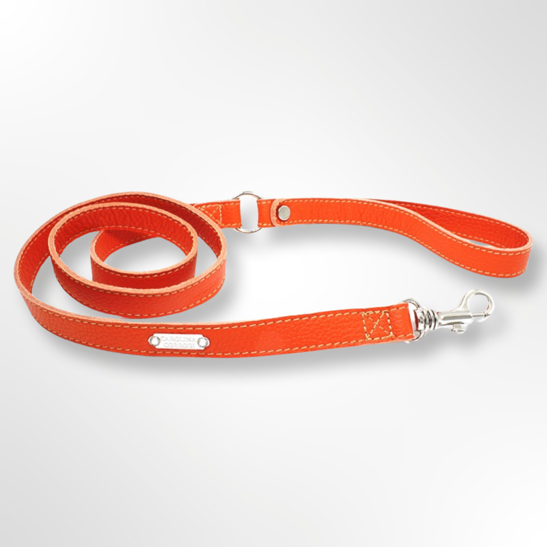 lederleine orange