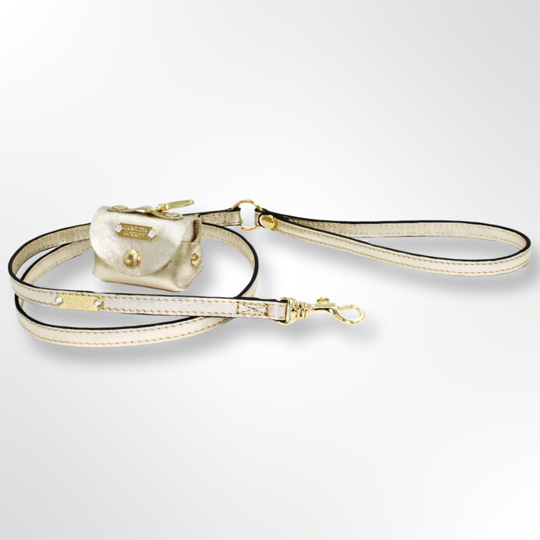 Hundeleine Leder gold mit Kotbeutelspender