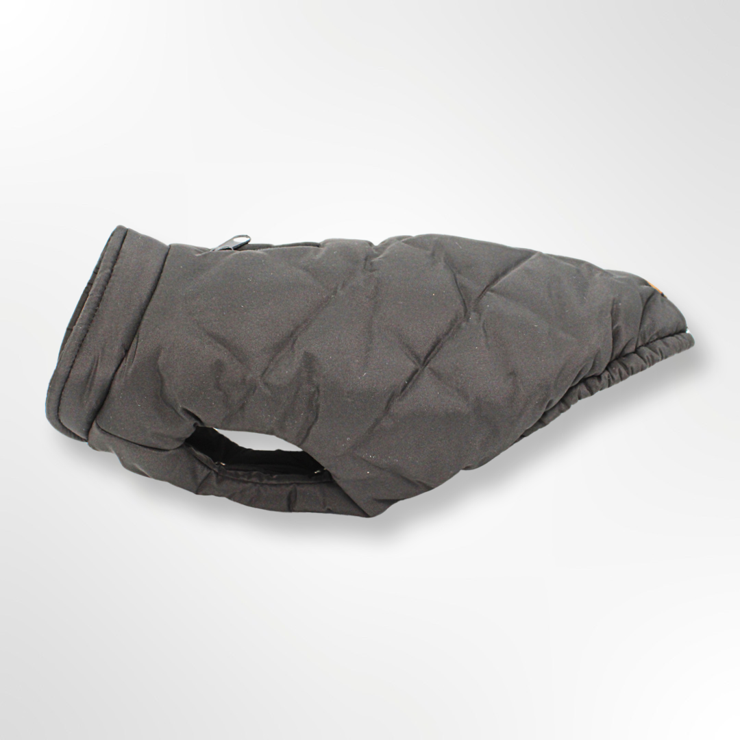 hundemantel / mantel hund / hundemantel carolina corrodi