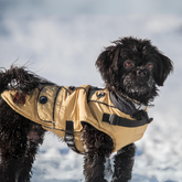 hundemantel für winter