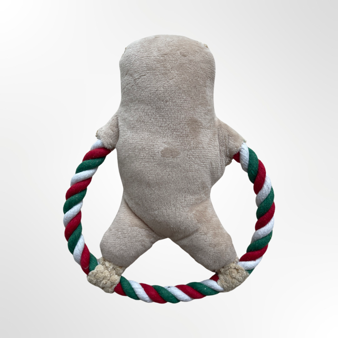 weihnachtsgeschenk hund hundegeschenk