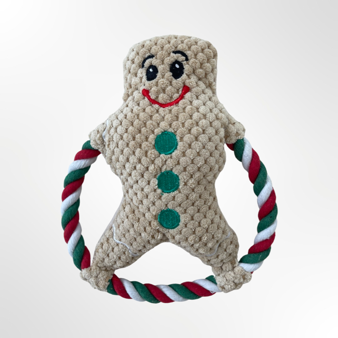 weihnachtsgeschenk hund lebkuchen