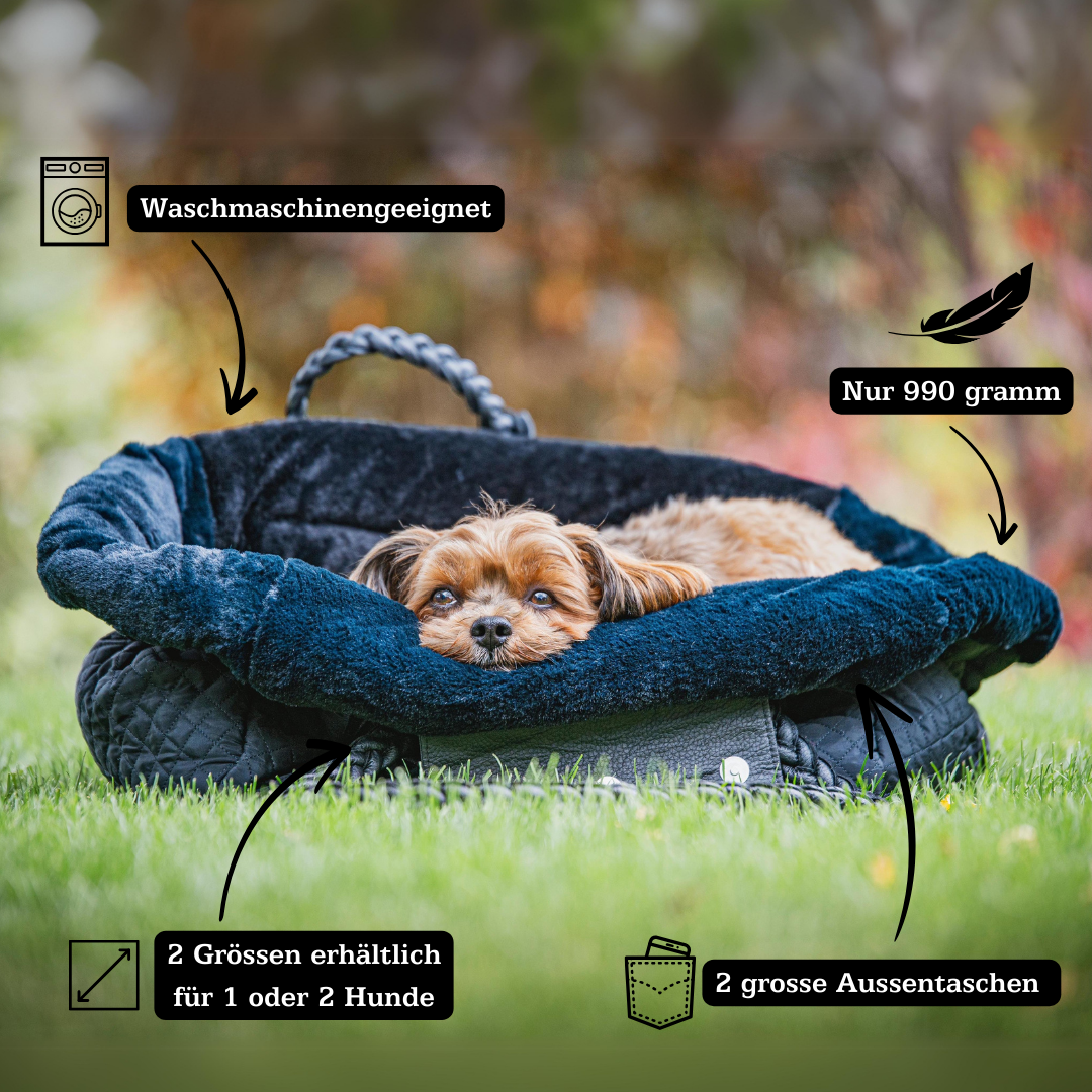 hund schläft in hundetasdche
