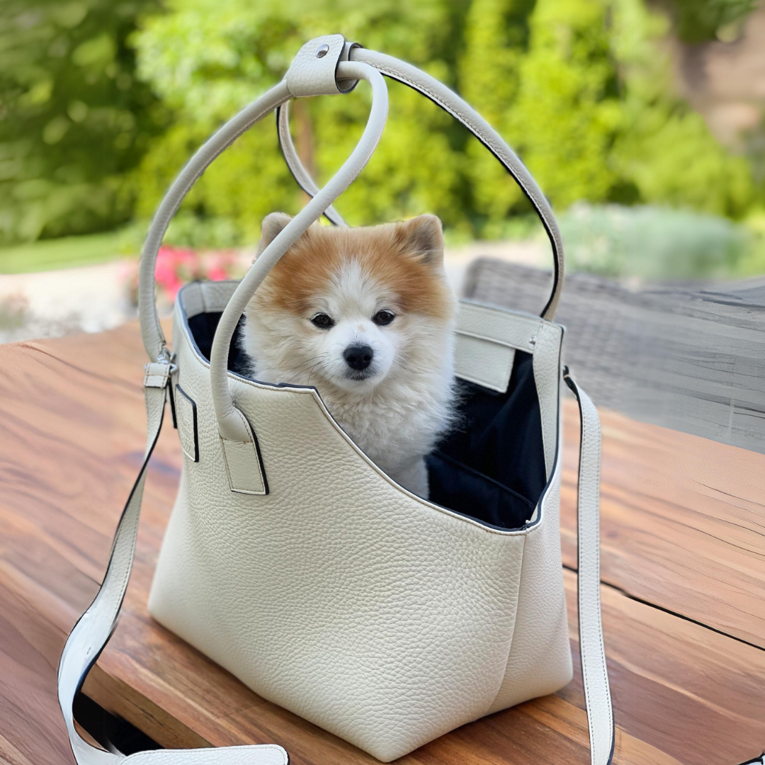Hundetasche Leder St. Tropez (Ideal für Sommer und Winter)