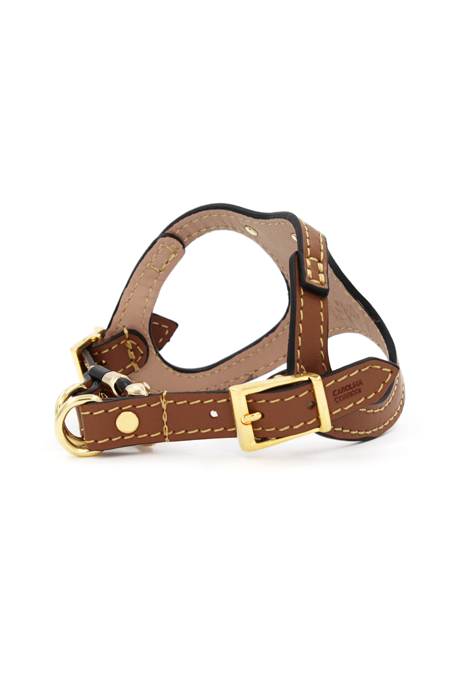 Hundegeschirr Leder Zwergspitz Chihauaha Carolina Corrodi