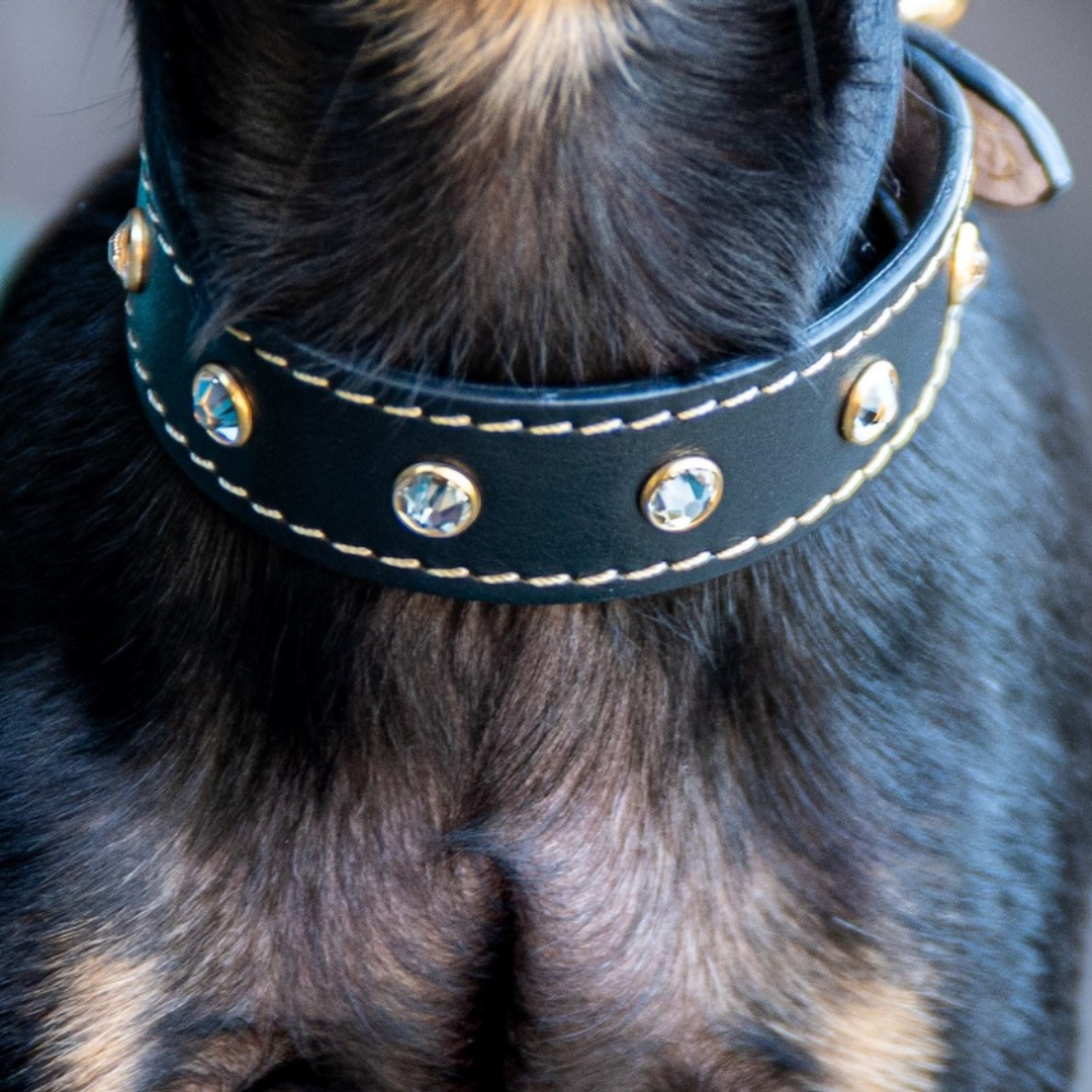 Leder Hundehalsband Strasssteine Schwarz