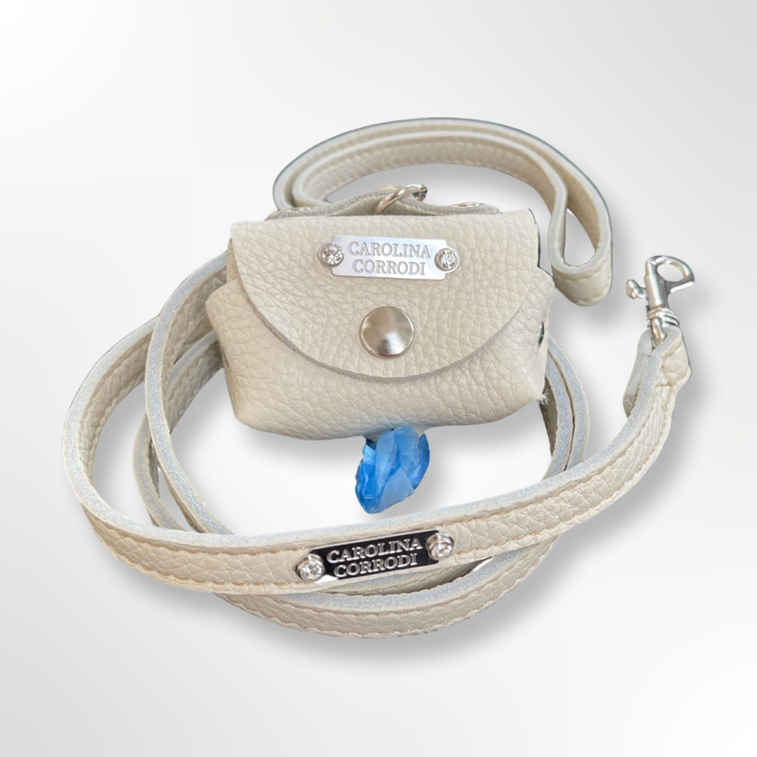 Hundeleine Leder Kotbeutelspender
