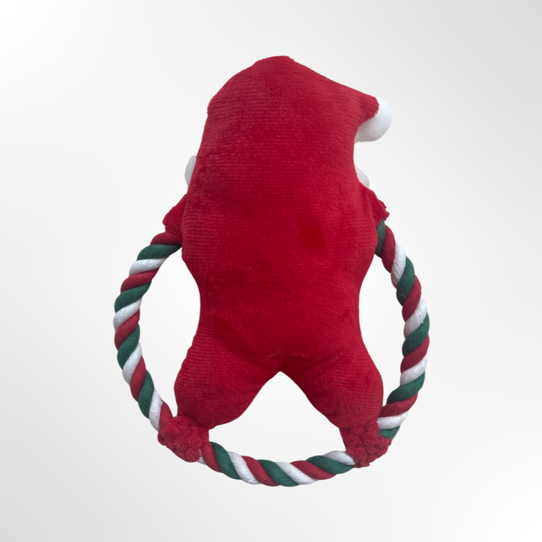 weihnachtsgeschenk hund weihnachtsmann