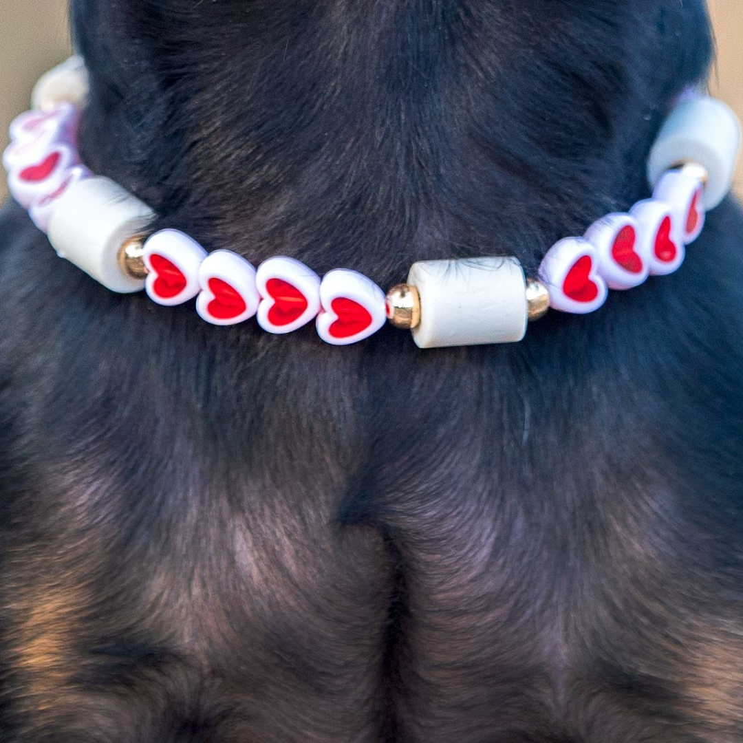 rotes herz zeckenhalsband