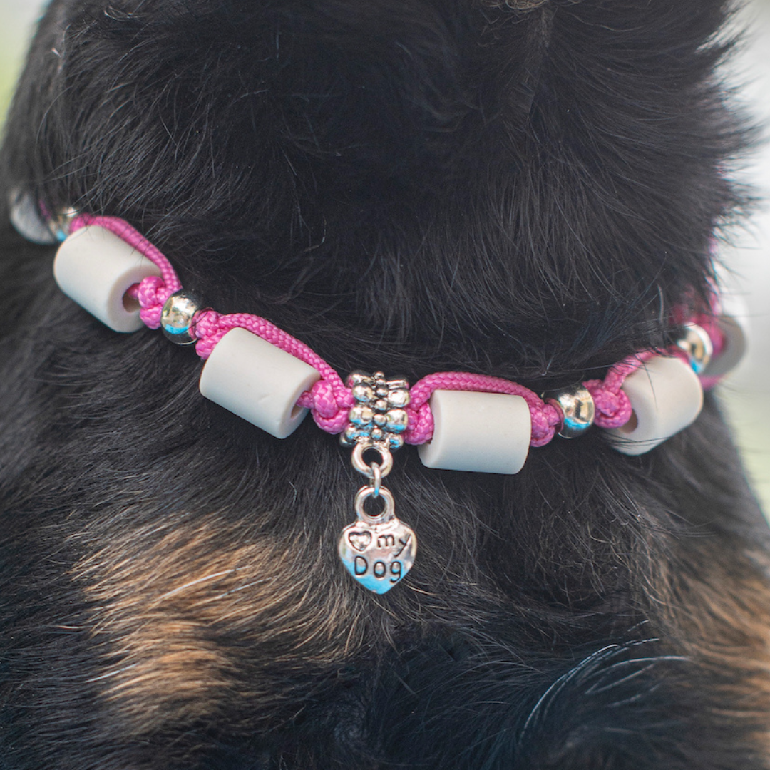 zeckenhalsband für hunde in rosa carolina corrodi