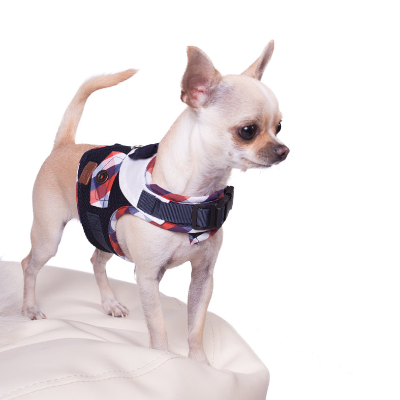 Hundegeschirr London