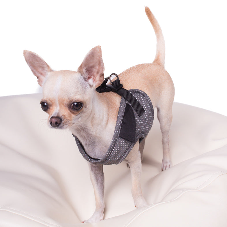 Hundegeschirr Lichfield
