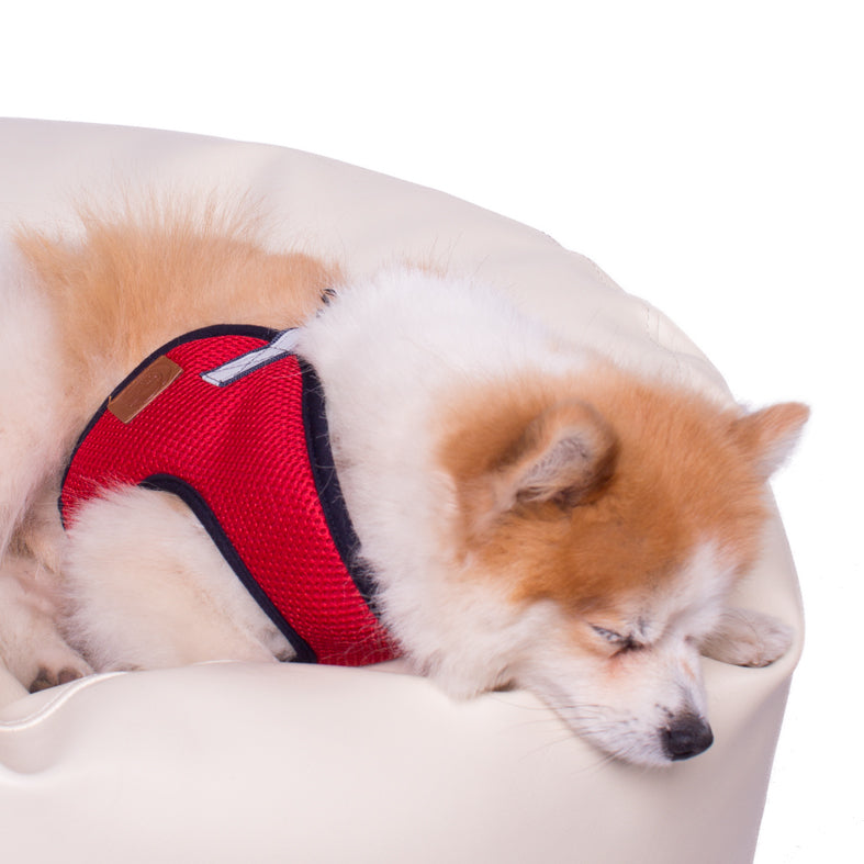 Hundegeschirr Soft