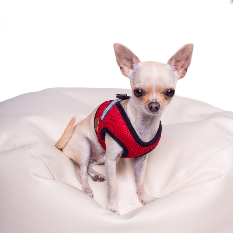 Hundegeschirr Soft