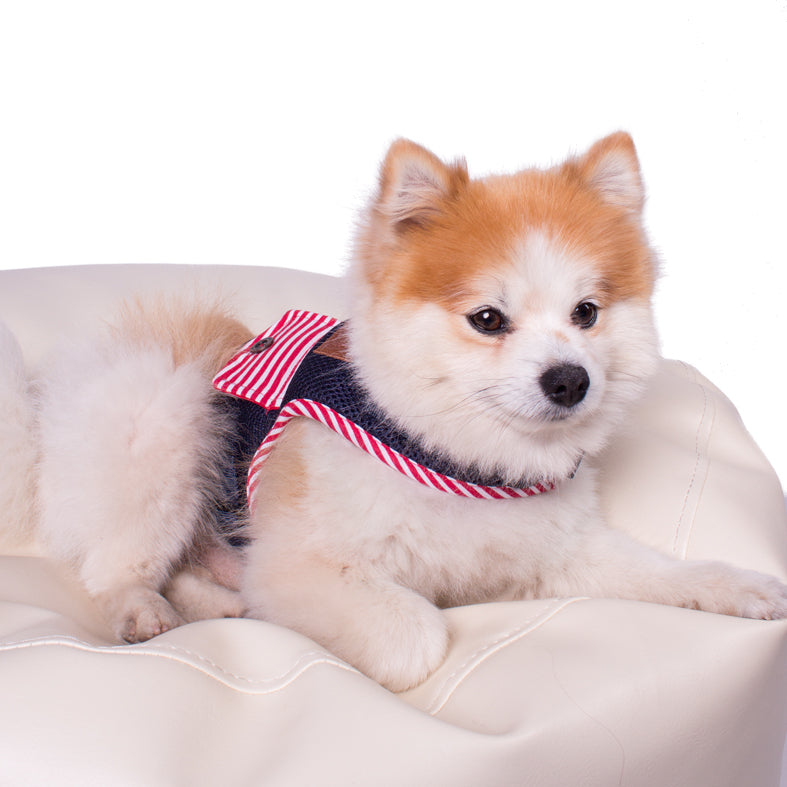 Hundegeschirr Soft