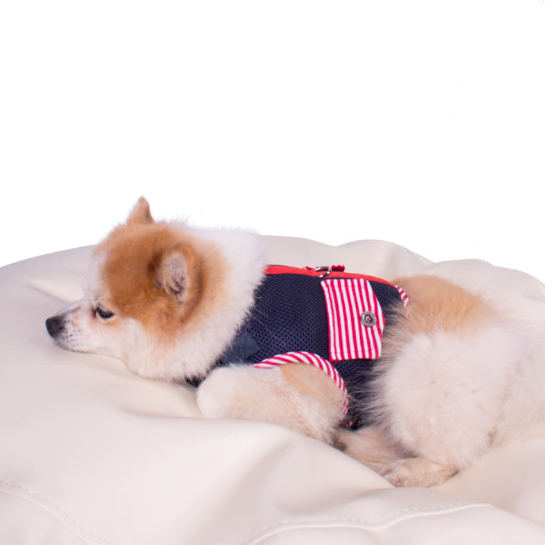Hundegeschirr soft Derby