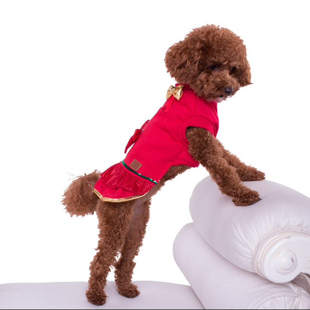 Hundepullover - Hundekleid Austin (Grösse 4)