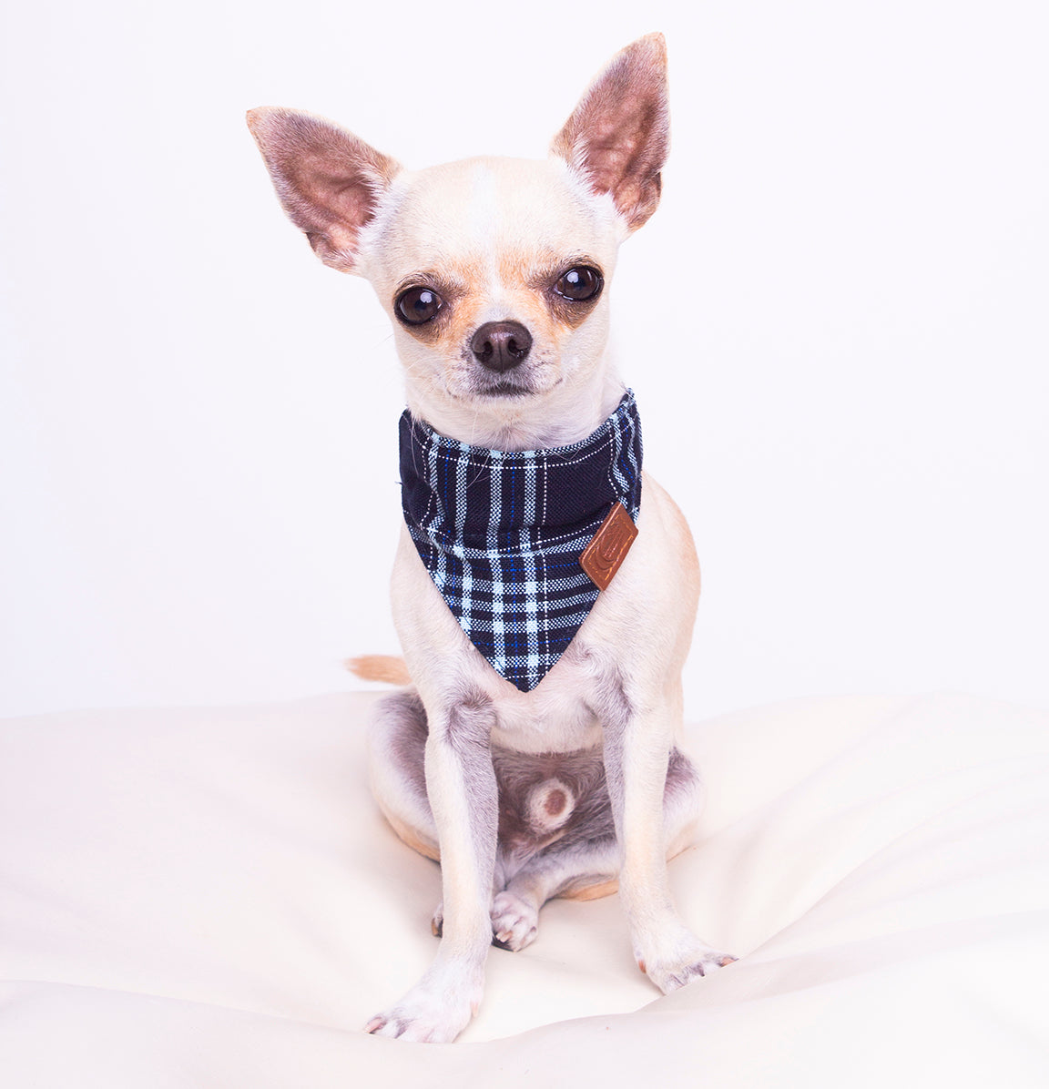 Hundehalstuch Bandana Galway