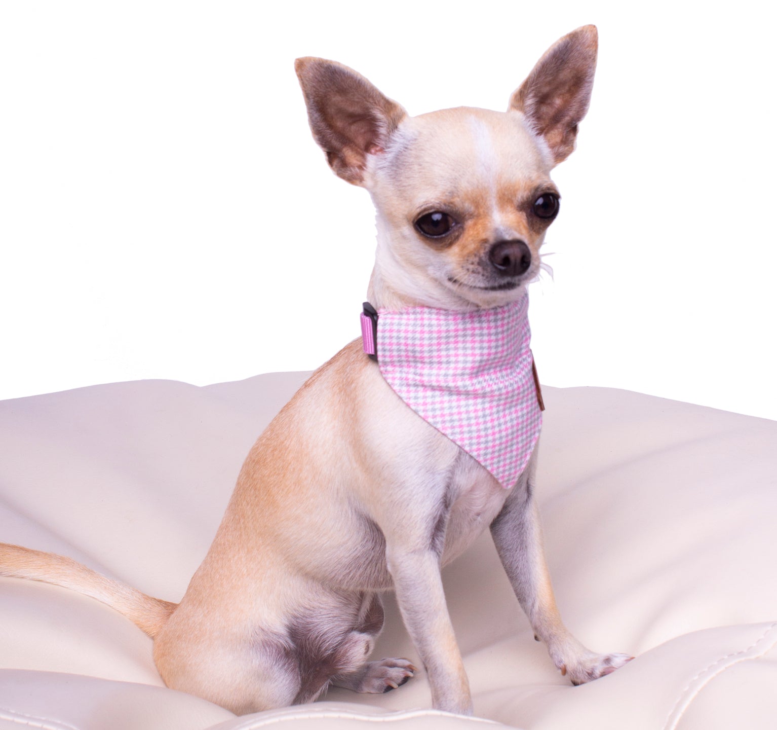 Bandana pour chien Newbridge
