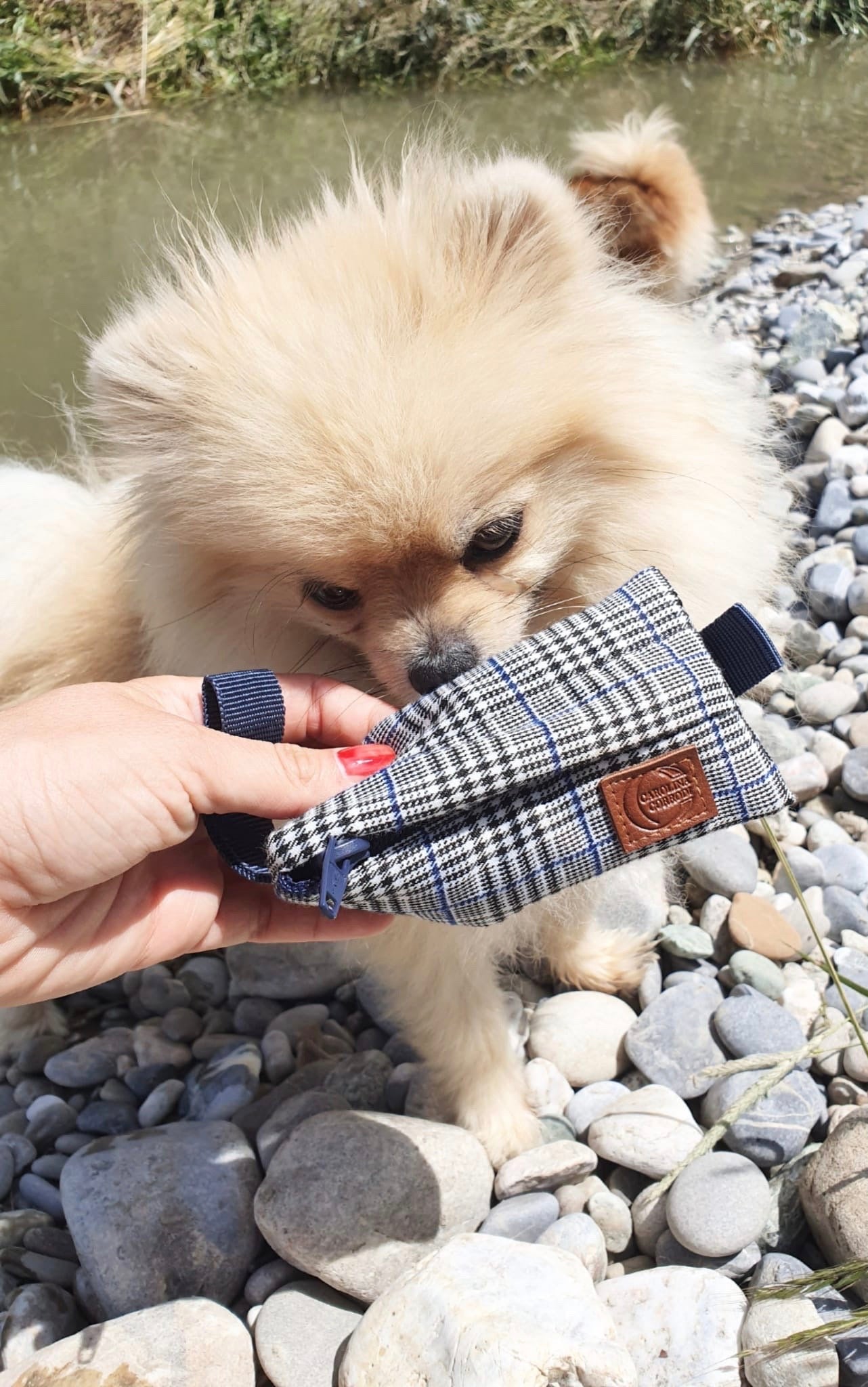 Dummy alimentaire Oakland (éducation canine, jouets pour chiens)