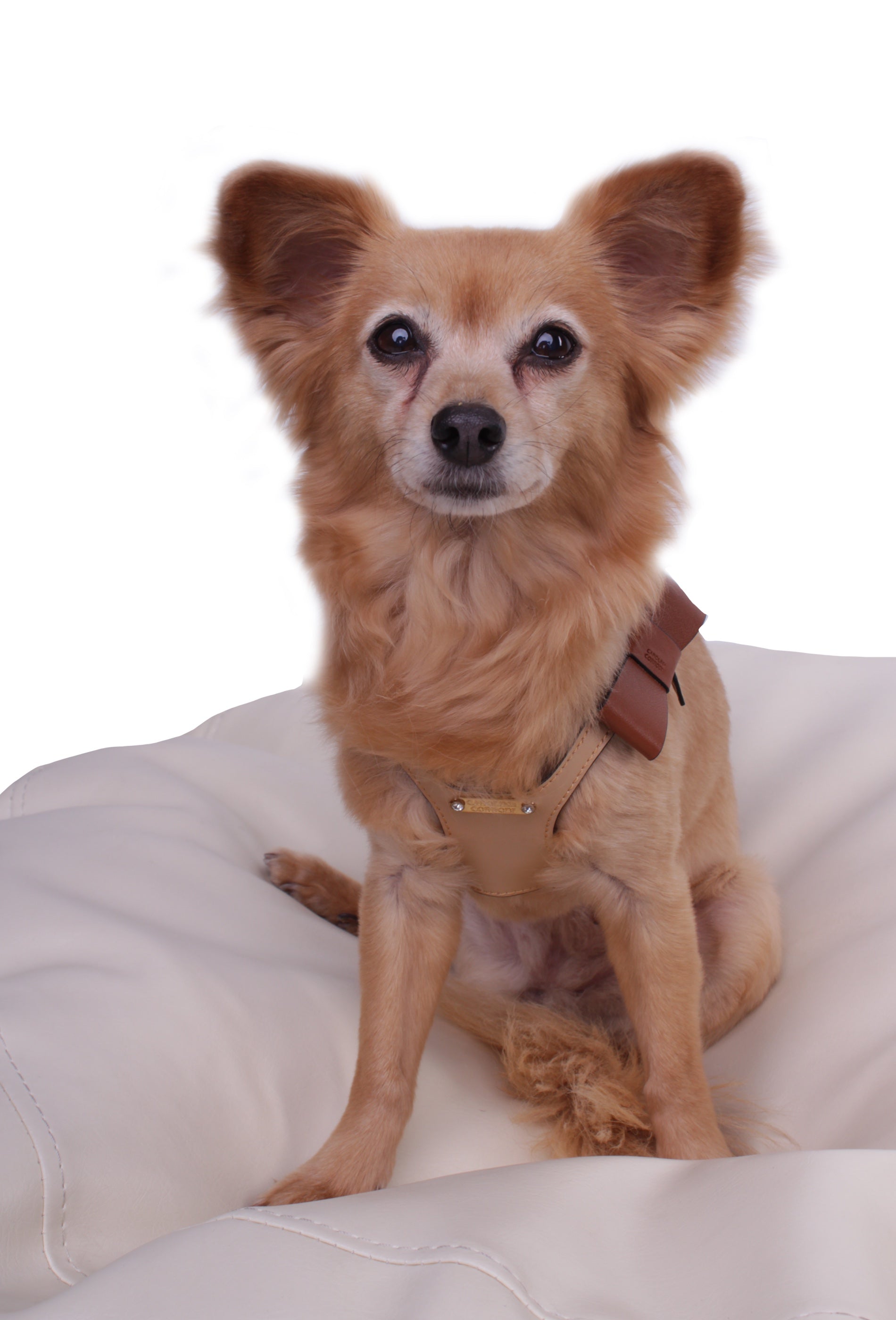 Hundegeschirr Step In Leder Elba
