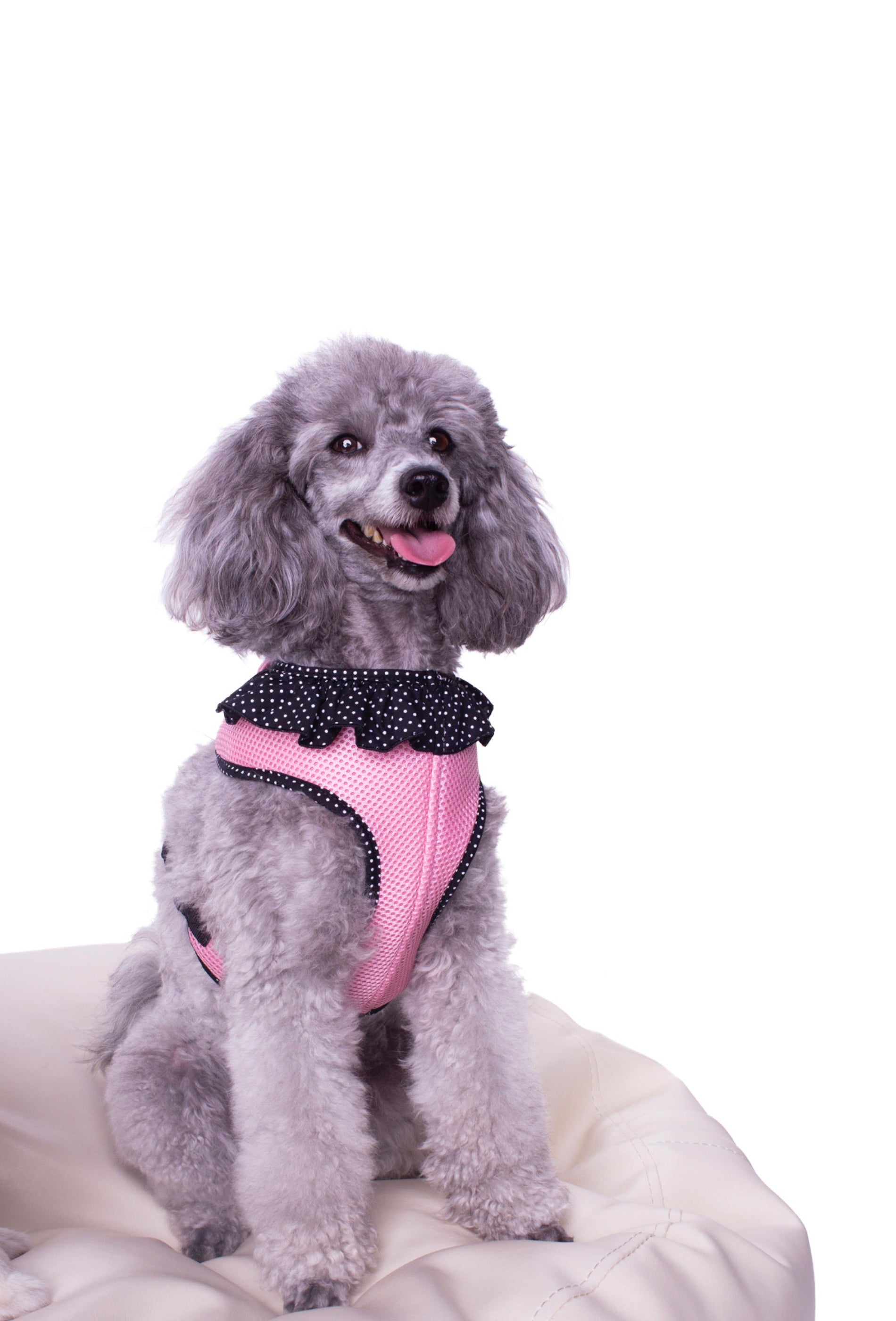 Hundegeschirr Soft Marbella