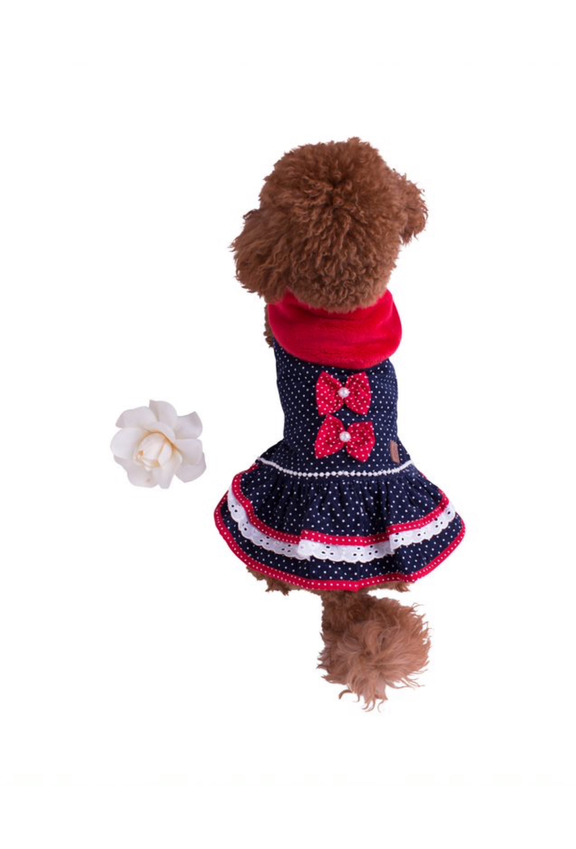 Pull - robe pour chien Monaco
