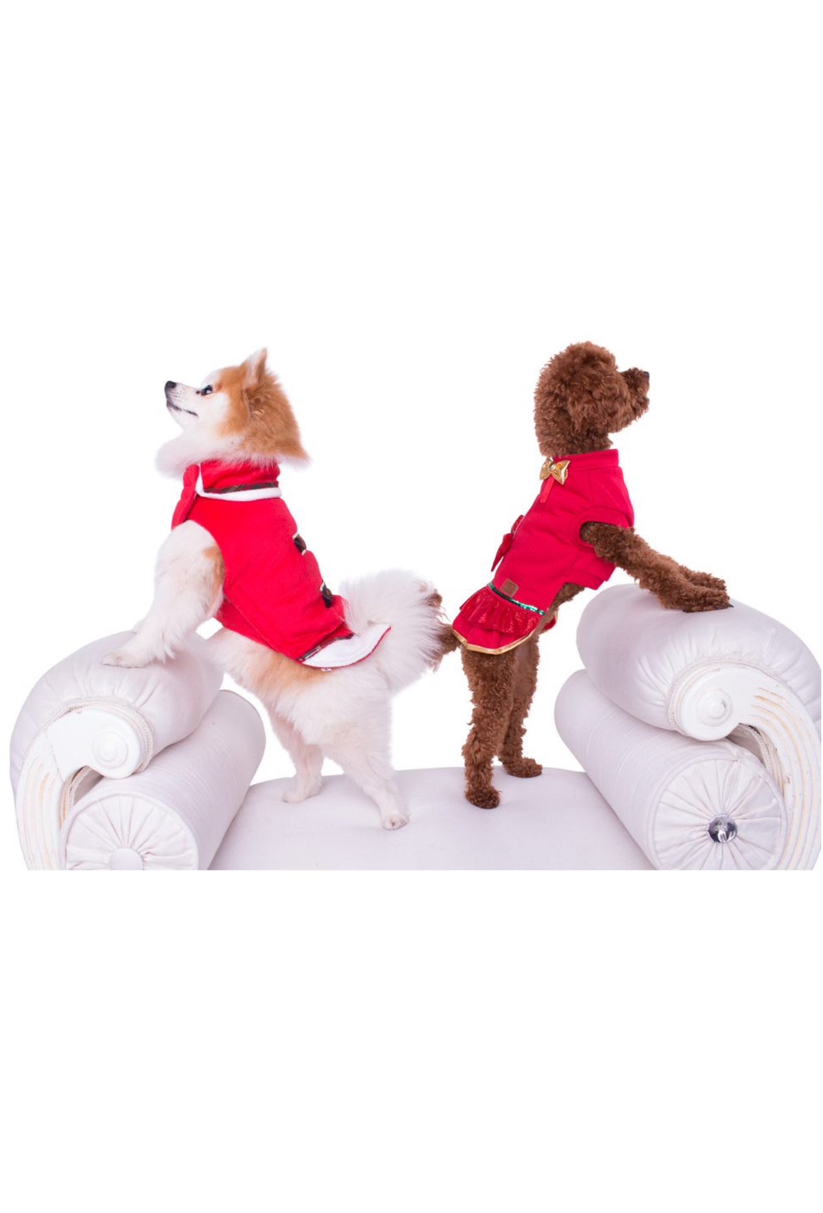 Hundepullover - Hundemantel Orlando (Grösse 4)