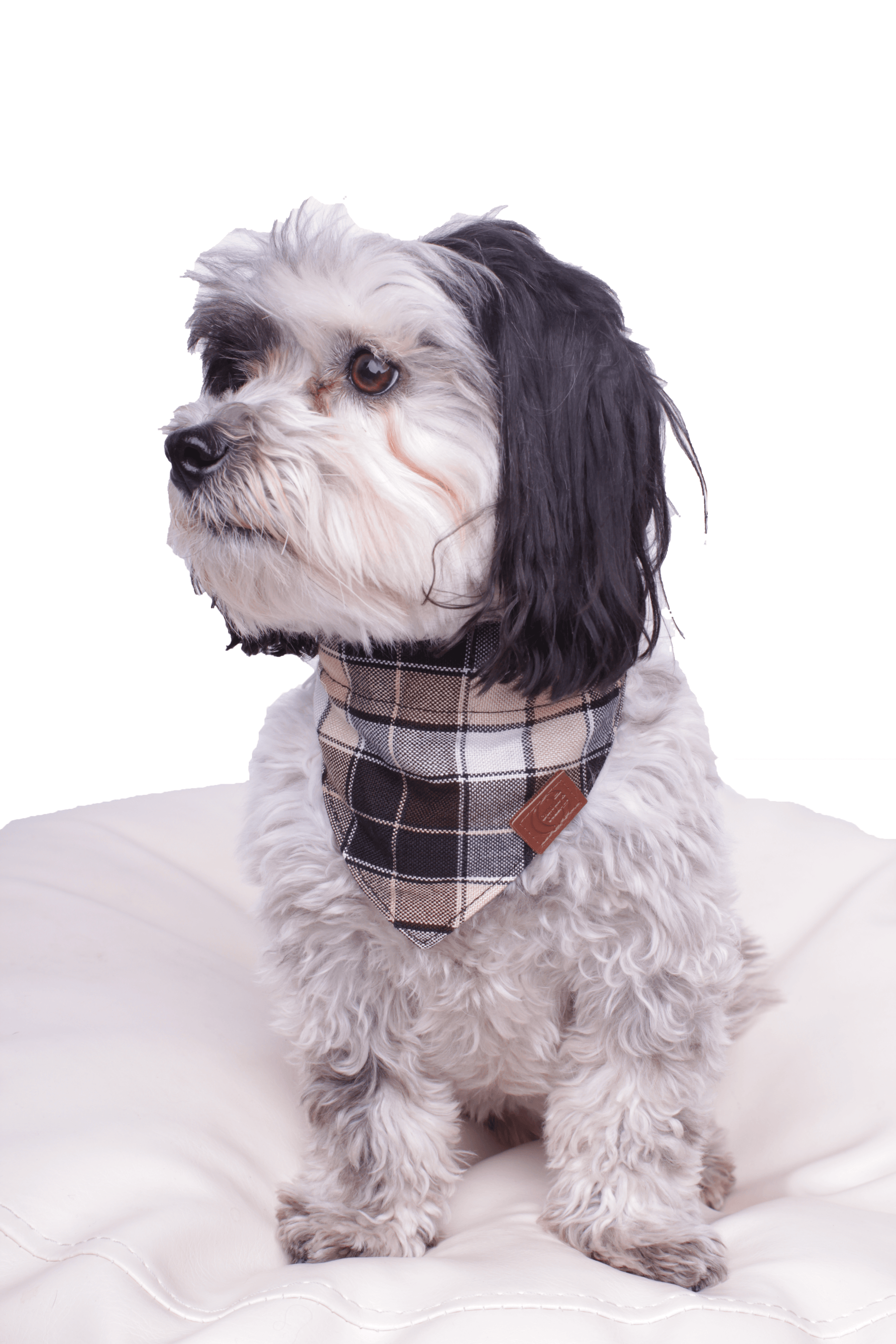 Hundehalstuch Bandana Colorado