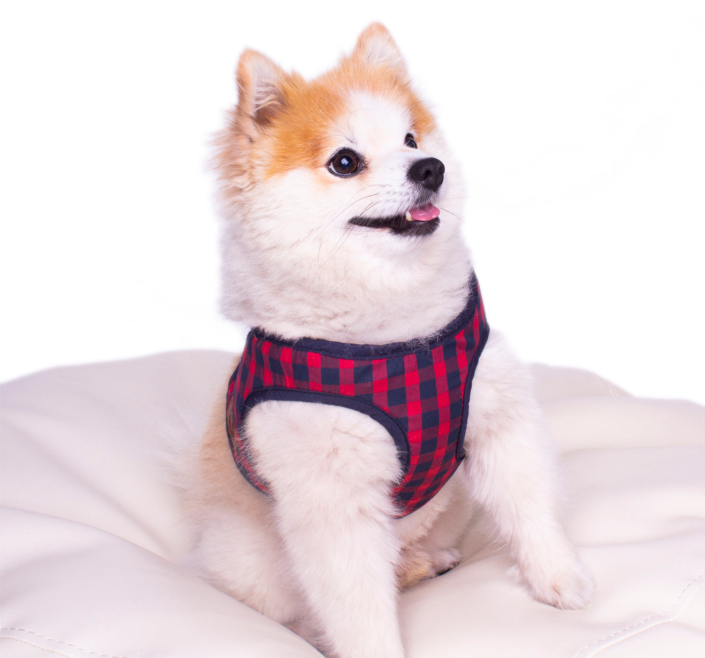 Hundegeschirr Soft