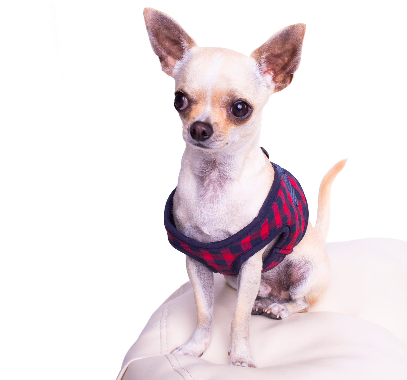 Hundegeschirr Soft